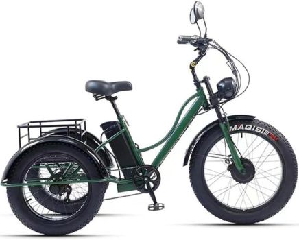 3 Wheel Electric Bike