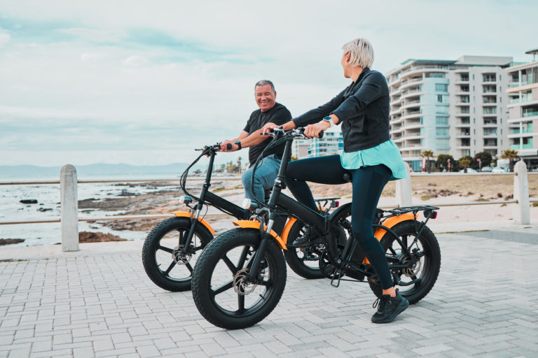 Electric Bike For Heavy Adults