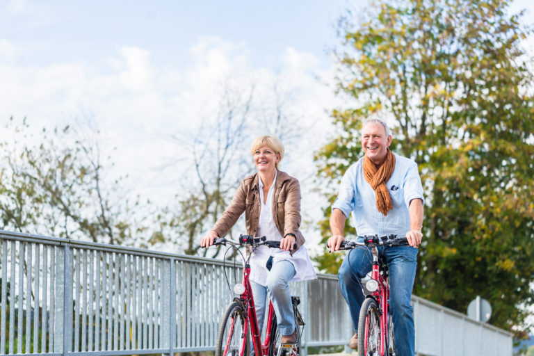 Electric Bike For Seniors