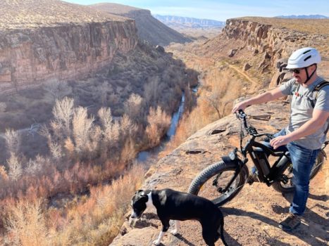 Electric Bike For Dogs